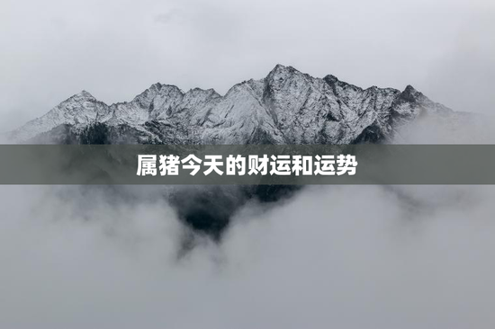 属猪今天的财运和运势 属猪今天的财运和运势