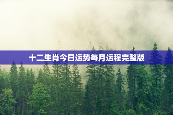 十二生肖今日运势每月运程完整版 十二生肖今日运势每月运程完整版