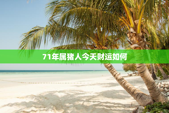 71年属猪人今天财运如何