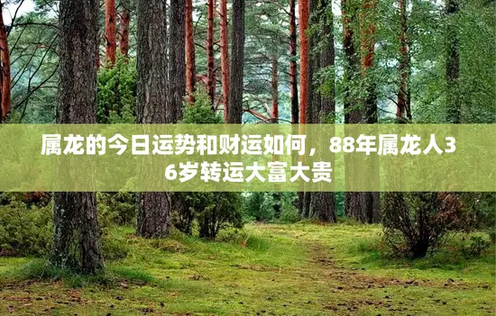 属龙的今日运势和财运如何，88年属龙人36岁转运大富大贵