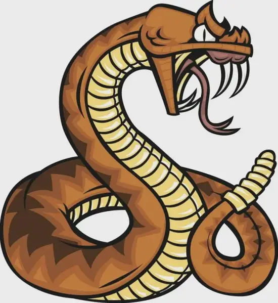 生肖蛇财运布局