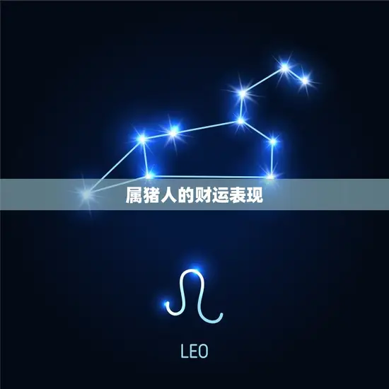 属猪人的财运表现 属猪人的财运表现