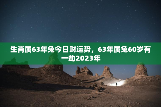 生肖属63年兔今日财运势，63年属兔60岁有一劫2023年