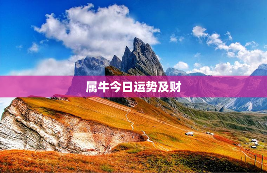 属牛今日运势及财