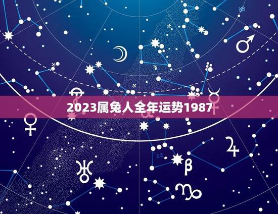 2023属兔人全年运势1987(兔年运势大介绍) 2023属兔人全年运势1987(兔年运势大介绍)