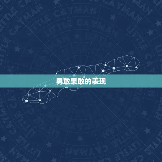 勇敢果敢的表现