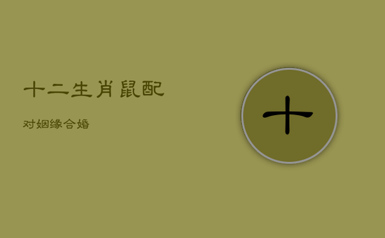 十二生肖鼠配对姻缘合婚 十二生肖鼠配对姻缘合婚