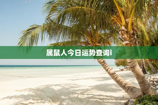 属鼠人今日运势查询i 属鼠人今日运势查询i
