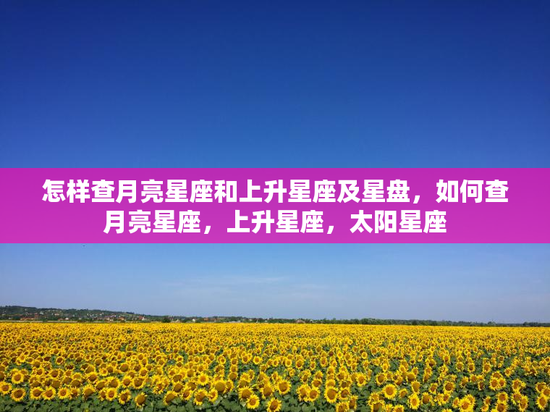 怎样查月亮星座和上升星座及星盘,如何查月亮星座,上升星座,太阳星座 怎样查月亮星座和上升星座及星盘,如何查月亮星座,上升星座,太阳星座