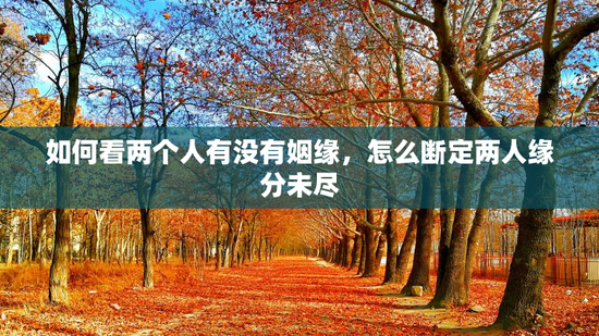 如何看两个人有没有姻缘，怎么断定两人缘分未尽