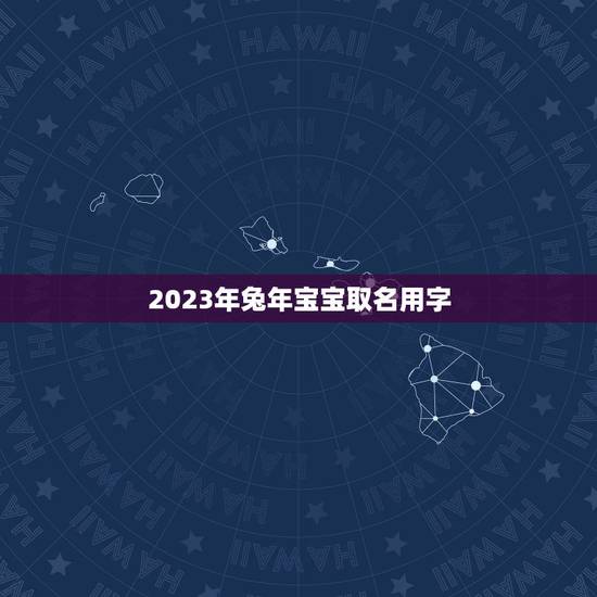 2023年兔年宝宝取名用字(打造个性化专属宝宝名字)