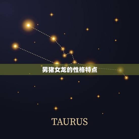 男猪女龙的性格特点