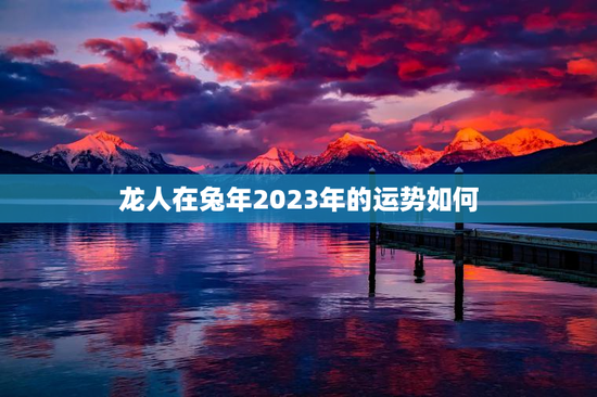 龙人在兔年2023年的运势如何