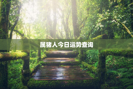 属猪人今日运势查询