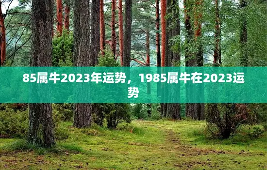 85属牛2023年运势，1985属牛在2023运势