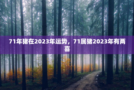 71年猪在2023年运势，71属猪2023年有两喜
