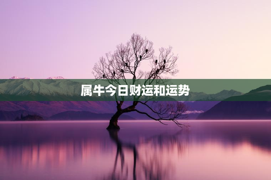 属牛今日财运和运势