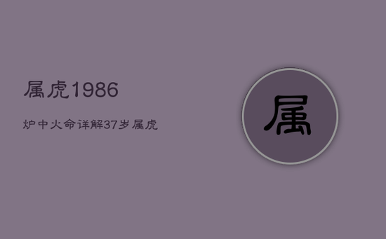 属虎1986炉中火命详解，37岁属虎开始走大运