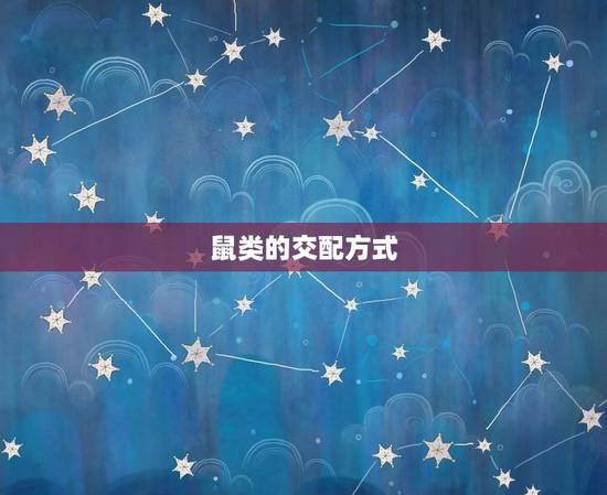 鼠类的交配方式