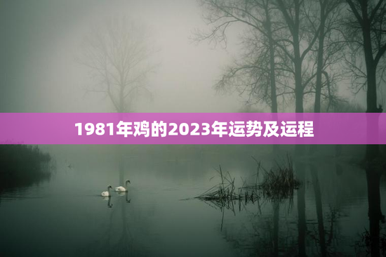1981年鸡的2023年运势及运程 1981年鸡的2023年运势及运程