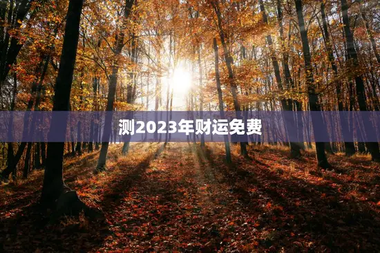 测2023年财运免费