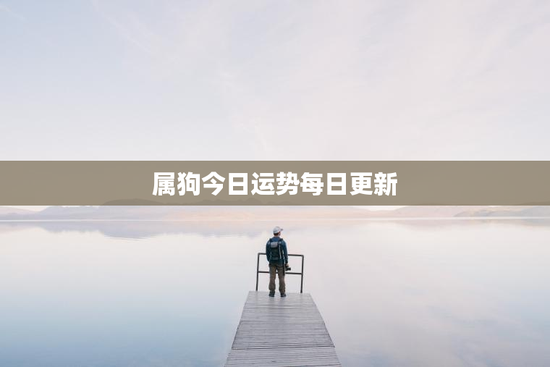 属狗今日运势每日更新