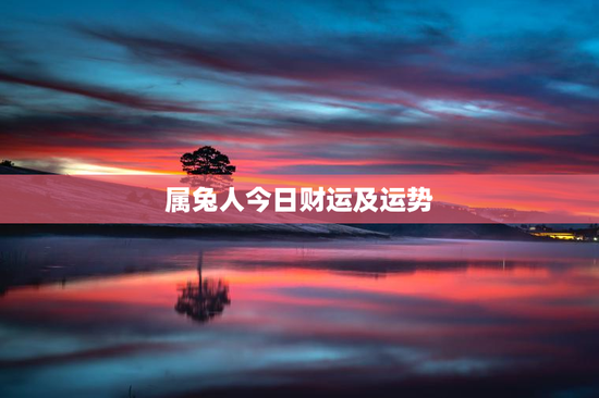 属兔人今日财运及运势