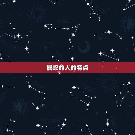 属蛇的人的特点