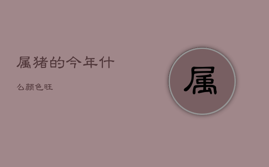 属猪的今年什么颜色旺