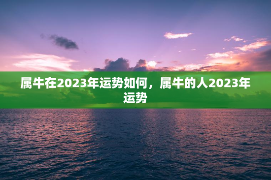 属牛在2023年运势如何，属牛的人2023年运势
