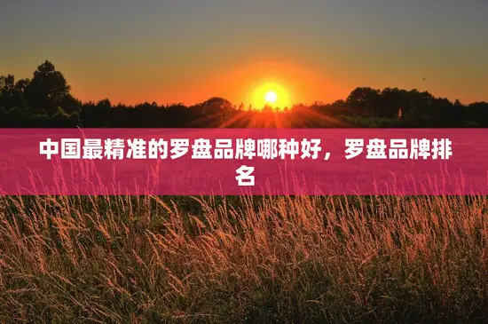 中国最精准的罗盘品牌哪种好，罗盘品牌排名