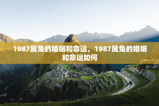 1987属兔的婚姻和命运,1987属兔的婚姻和命运如何 1987属兔的婚姻和命运,1987属兔的婚姻和命运如何