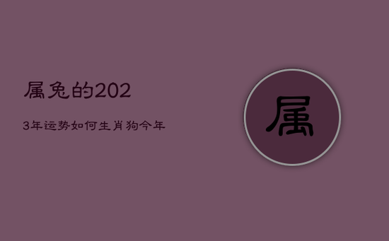 属兔的2023年运势如何,生肖狗今年运势怎么样 属兔的2023年运势如何,生肖狗今年运势怎么样