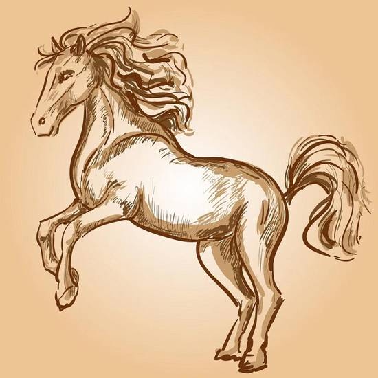 属马的今年几岁对应岁数(马年生肖年龄查询)