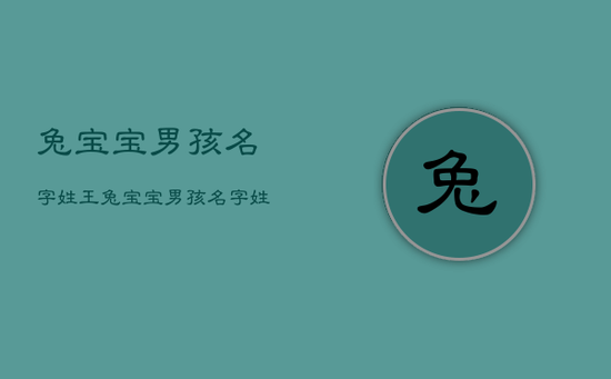 兔宝宝男孩名字姓王，兔宝宝男孩名字姓王取名