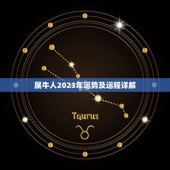 属牛人2023年运势及运程详解(十二生肖牛运势预测)