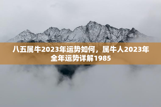 八五属牛2023年运势如何，属牛人2023年全年运势详解1985