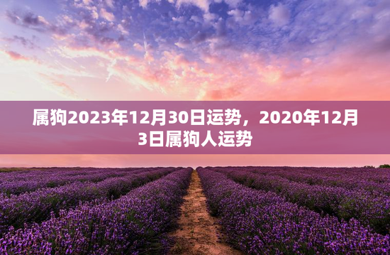 属狗2023年12月30日运势，2020年12月3日属狗人运势