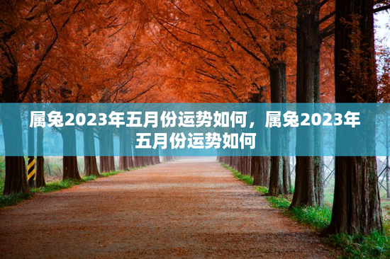 属兔2023年五月份运势如何，属兔2023年五月份运势如何