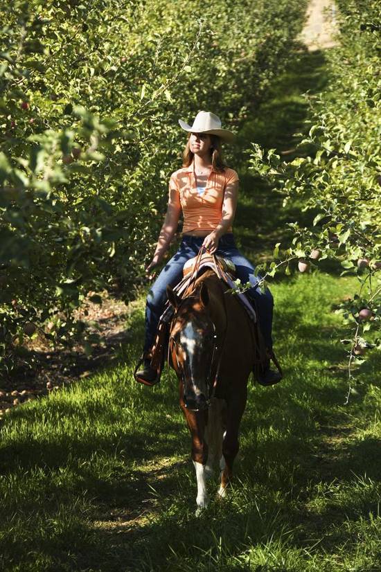 男女婚配属相对照表 属相婚配的基本说法