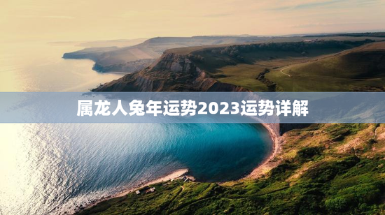 属龙人兔年运势2023运势详解