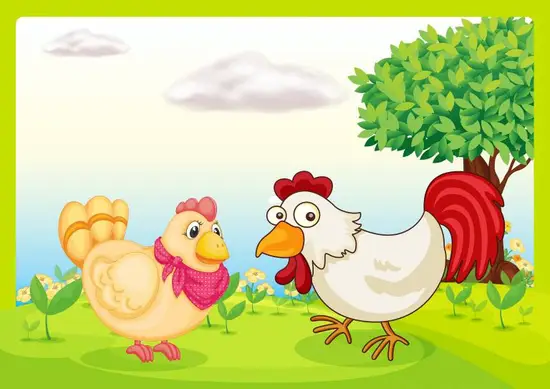 67年属鸡男人最佳配偶(完美匹配的星座是哪个) 67年属鸡男人最佳配偶(完美匹配的星座是哪个)