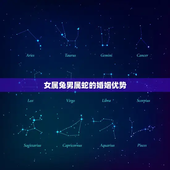 女属兔男属蛇的婚姻优势