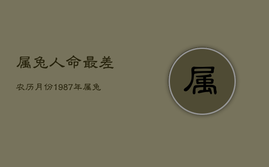 属兔人命最差农历月份，1987年属兔的命运
