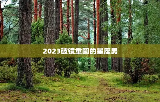 2023破镜重圆的星座男