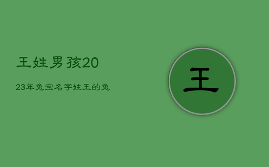 王姓男孩2023年兔宝名字,姓王的兔宝宝男孩名字大全免费 王姓男孩2023年兔宝名字,姓王的兔宝宝男孩名字大全免费