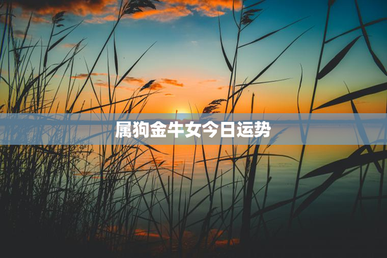 属狗金牛女今日运势