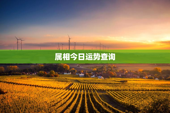 属相今日运势查询