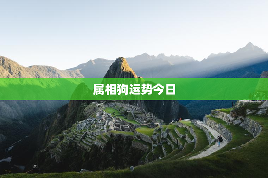 属相狗运势今日