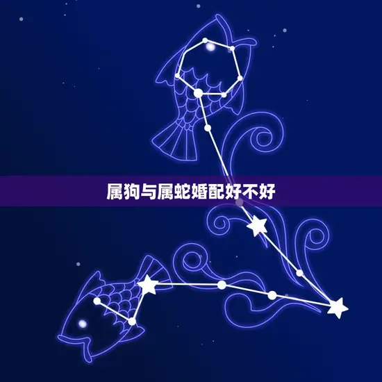 属狗与属蛇婚配好不好